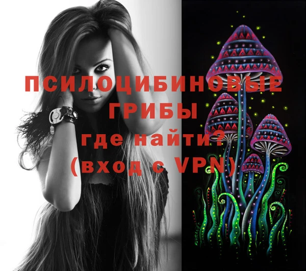 МДПВ Алзамай