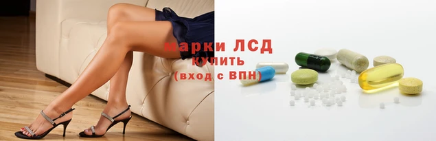 прущие грибы Алексеевка