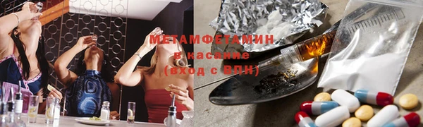 прущие грибы Алексеевка