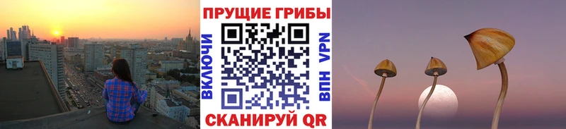 Псилоцибиновые грибы мухоморы  Баймак 